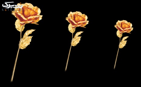 پکیج 2: گل رز باز مات (سایز کوچک) 