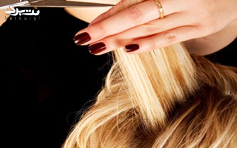 پکیج 1:کوتاهی مو در آرایشگاه پانیذ طلایی