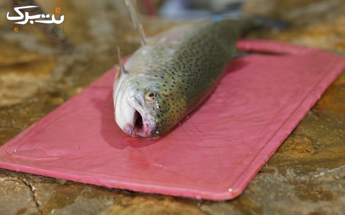 صید و طبخ ماهی زنده در رستوران بهزاد