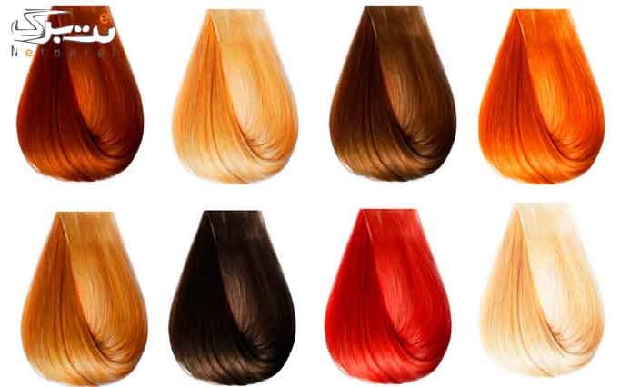 رنگ مو کامل مو بلند در سالن ساناز