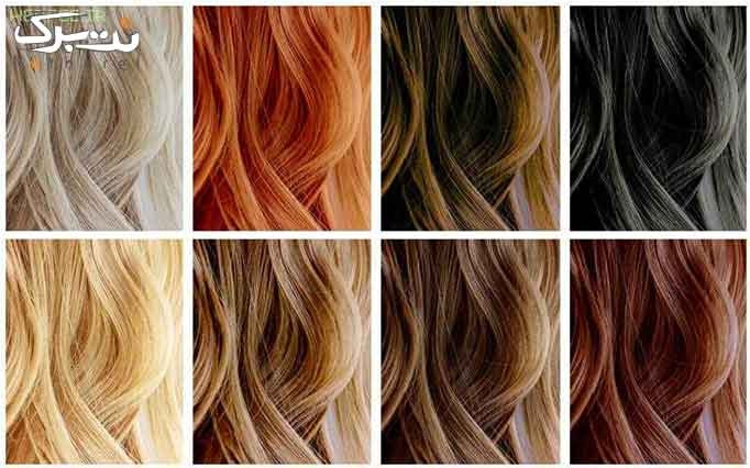 رنگ مو کامل مو متوسط در سالن ساناز