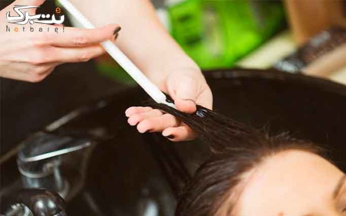 خدمات مراقبت از مو در سالن نسرین مینایی