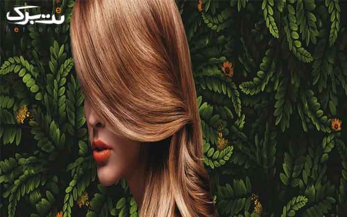 رنگ مو کامل تا سر شانه در مرکز زیبایی آندیا