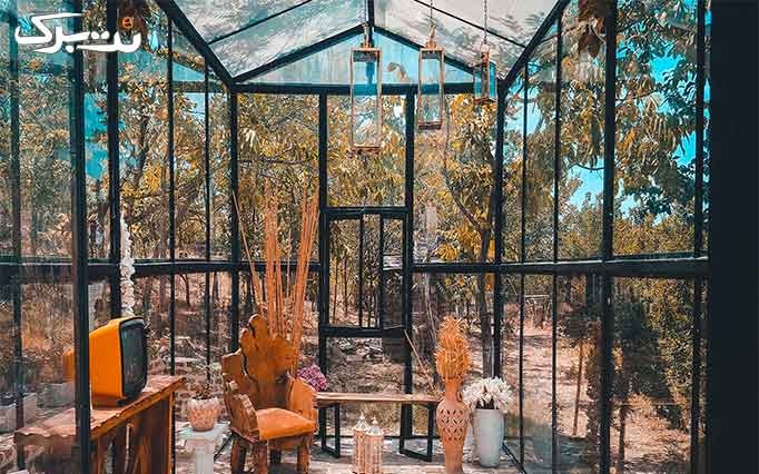 پکیج کلیپ و عکاسی باغ در آتلیه گلدیس
