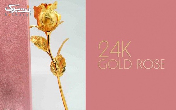 پکیج 2: گل رز غنچه بزرگ با روکش طلا