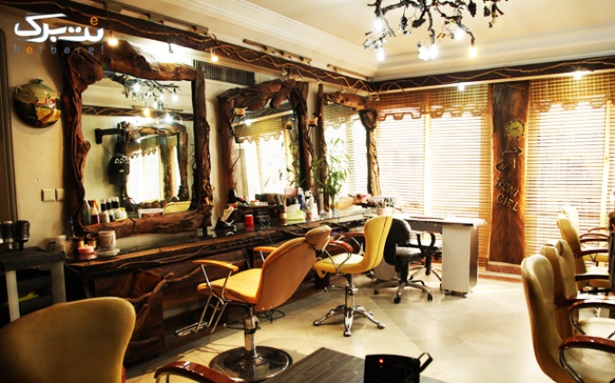 رنگ مو و اصلاح ابرو در سالن زیبایی سرای ونوس