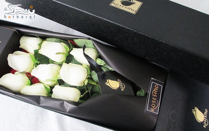 باکس های گل رز هدیه ای خاص و لوکس از گل رزشید