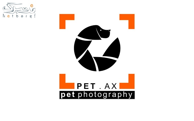 آتلیه مخصوص حیوانات petax 