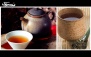 قلیان ساده با سرویس چای سنتی ویژه در کافه نیلو