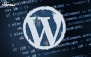 طراحی سایت با WordPress مقدماتی در خواجه نصیر