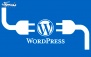 آموزش WordPress در موسسه اندیشه ناب فردا