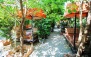 باغچه رستوران باغ بهار با منو باز غذایی و چای سنتی