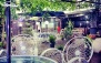 باغچه رستوران سنتی آبشار با منو غذایی