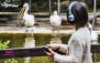 بازدید تخصصی با آوایار در باغ پرندگان