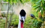 بازدید تخصصی با آوایار در باغ پرندگان پکیج یک نفره