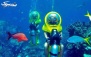یکشنبه 4 فروردین: اسکوتر زیردریایی در جزیره کیش