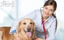 سلامتی حیوانات خانگی در دامپزشکی راد