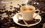 کافی شاپ نستور با منو کافه