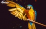 باغ پرندگان خاورمیانه ویژه جمعه و ایام تعطیل