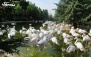 بلیت ورودی بزرگ ترین باغ پرندگان خاورمیانه