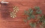 گوشواره کلبه و درخت کاج از گروه هنری سکه سرخ