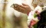عکاسی تخصصی در آتلیه نو عروس ها