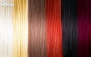 رنگ مو هر فویل در سالن زیبایی رامونا (ونک)
