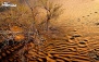 تور کویر گردی در کویر مرنجاب 
