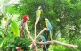 پارک پرندگان در چهارباغ
