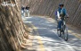 پکیج 2: دوچرخه دنده ای در پارک چیتگر